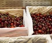 Cherries – Export